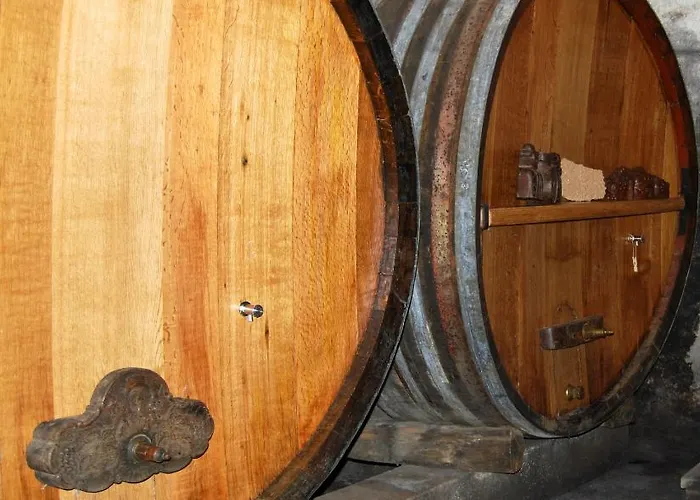 Le Tokay Et Le Muscat * Gertwiller