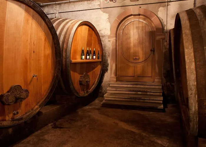 Le Tokay Et Le Muscat Holiday home *