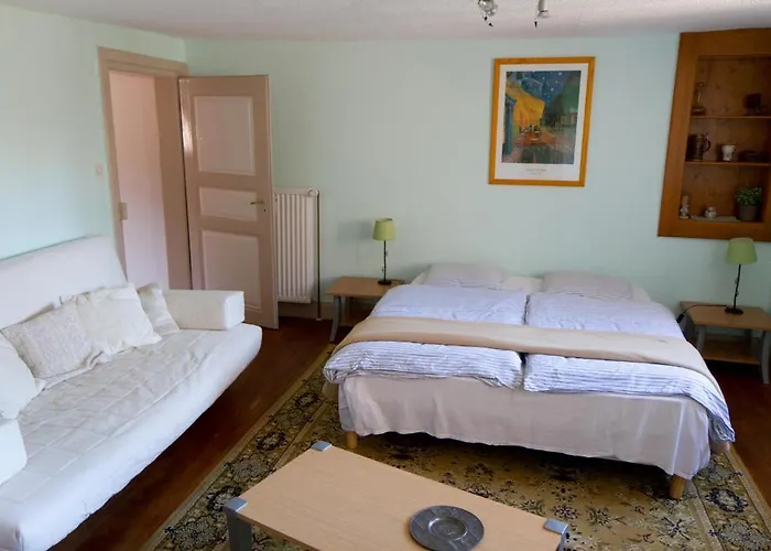 Le Tokay Et Le Muscat Holiday home Gertwiller